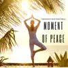 Inner Peace Records - Moment of Peace: Refreshment, Meditation and Reiki Music
